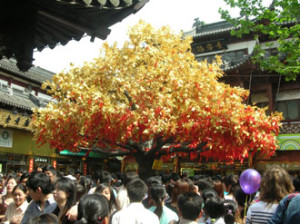20060615011834106