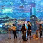 Dubai mall