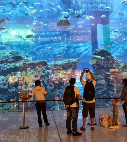 Dubai mall