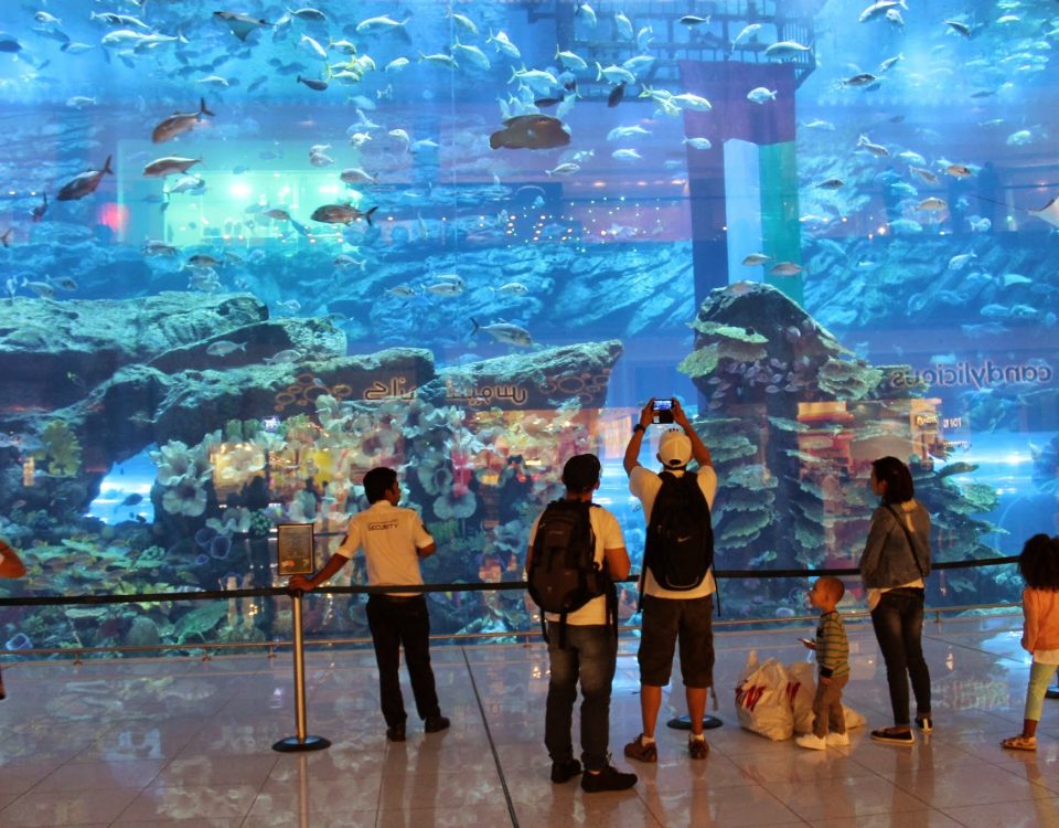 Dubai mall